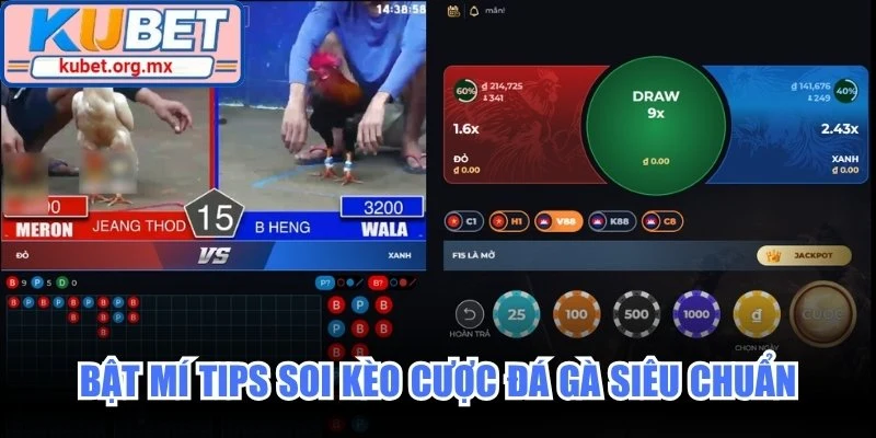 Bật mí tips soi kèo cược đá gà siêu chuẩn