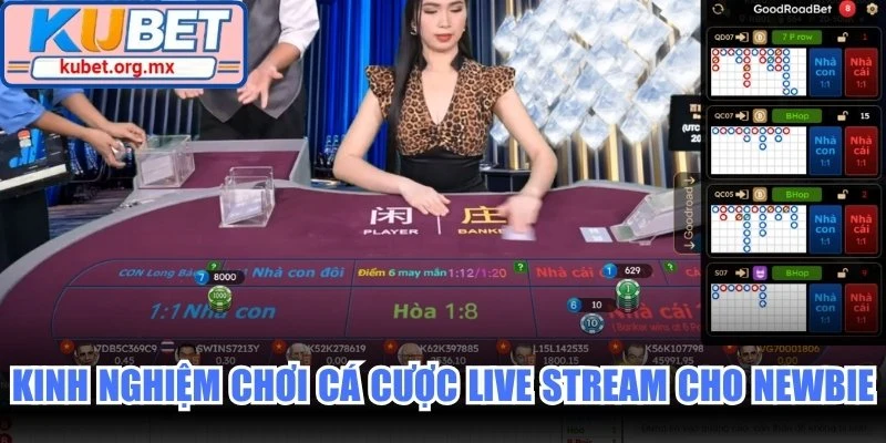 Kinh nghiệm chơi cá cược Live Stream cho newbie