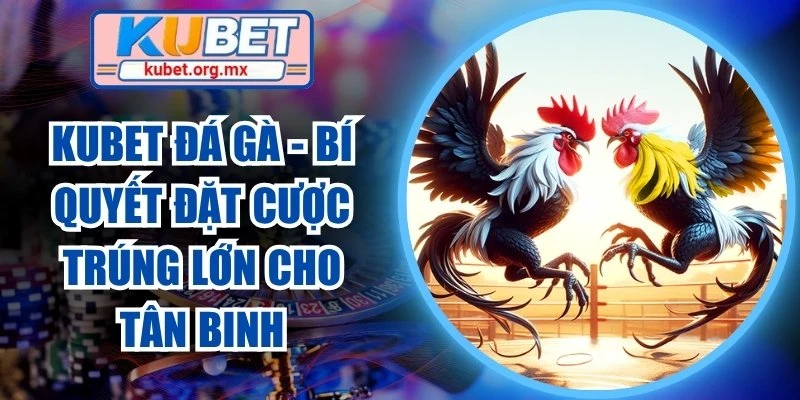 Kubet đá gà
