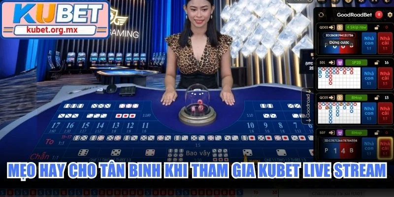 Mẹo hay cho tân binh khi tham gia Kubet Live Stream