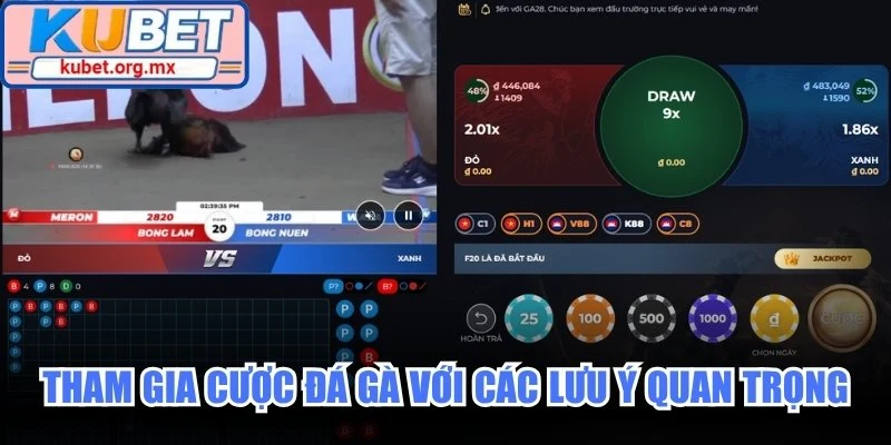 Tham gia cược đá gà với các lưu ý quan trọng