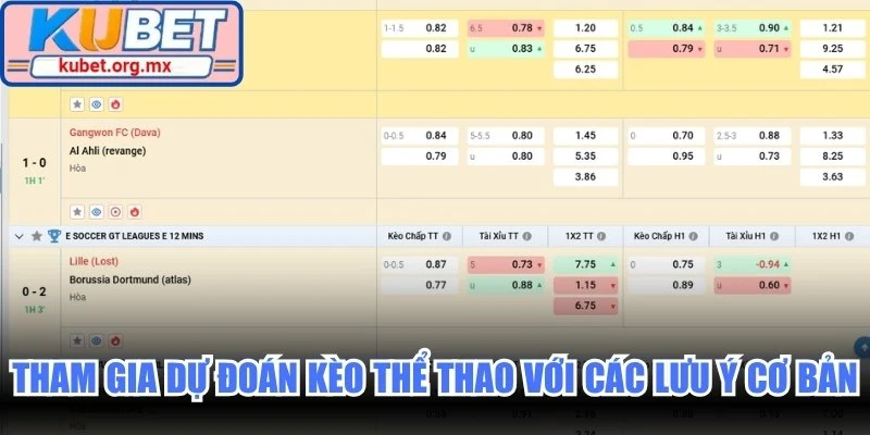 Tham gia dự đoán kèo thể thao với các lưu ý cơ bản
